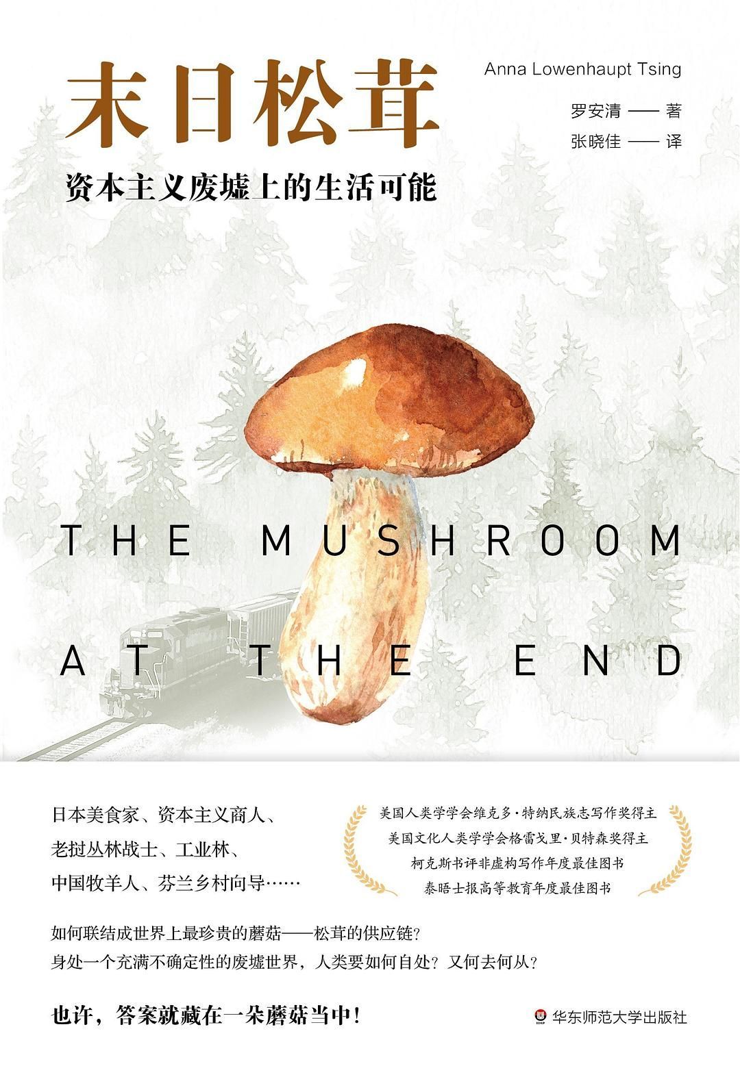 今天我们不为进步，我们为自由